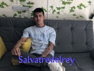Salvatredelrey