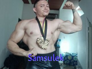 Samsulek