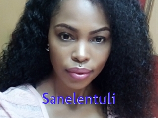 Sanelentuli
