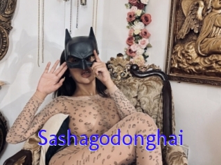 Sashagodonghai