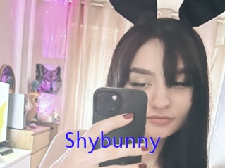 Shybunny