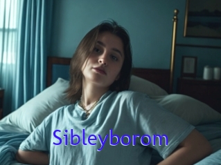 Sibleyborom