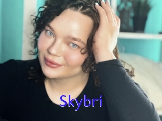 Skybri