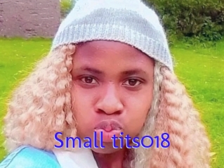 Small_tits018