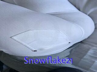 Snowflake21