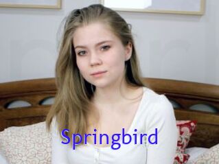 Springbird