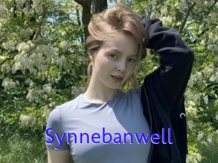 Synnebanwell