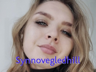 Synnovegledhill