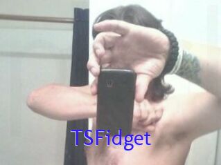 TSFidget