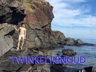 TWINKELIKINGUD