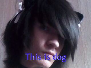 This_is_dog