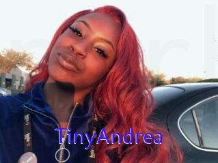 TinyAndrea
