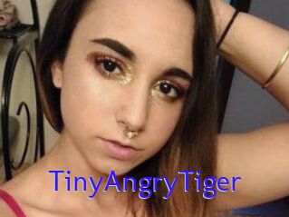 TinyAngryTiger