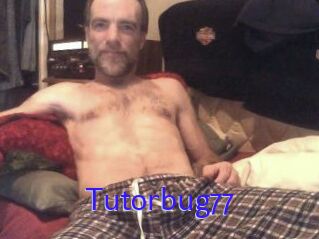 Tutorbug77