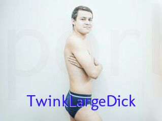 TwinkLargeDick