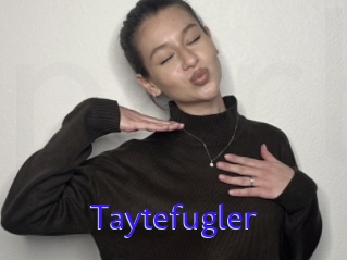 Taytefugler