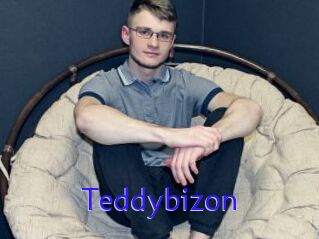 Teddybizon