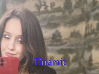 Tinamit