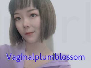 Vaginalplumblossom