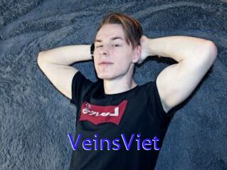 VeinsViet