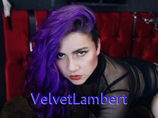 VelvetLambert