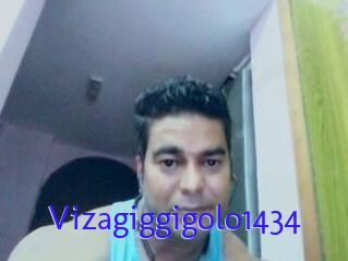 Vizagiggigolo1434