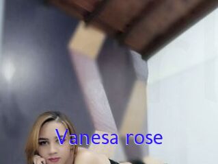 Vanesa_rose