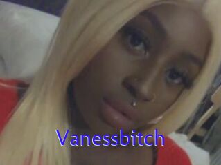 Vanessbitch