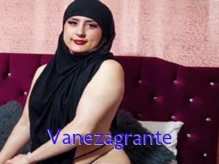 Vanezagrante