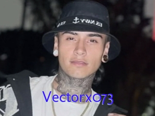 Vectorx073