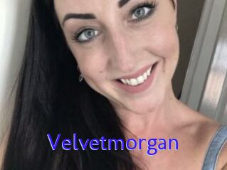 Velvetmorgan
