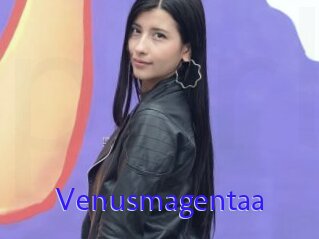 Venusmagentaa