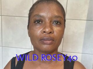 WILD_ROSEY40