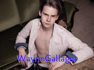 WayneGallager