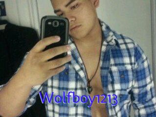 Wolfboy1213