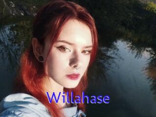 Willahase