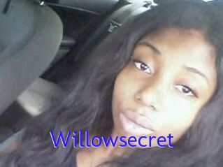 Willow_secret