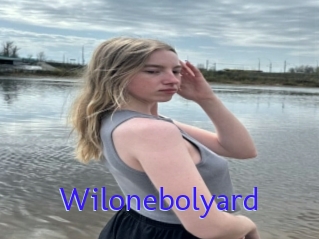 Wilonebolyard