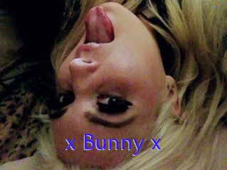 _x_Bunny_x_