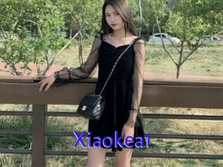 Xiaokea1