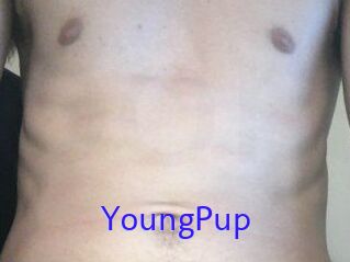 YoungPup
