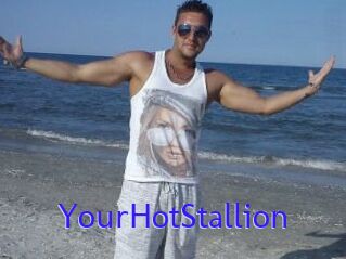 YourHotStallion
