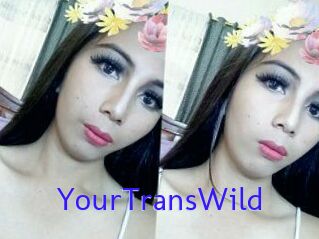 YourTransWild