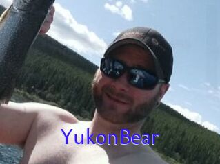 YukonBear
