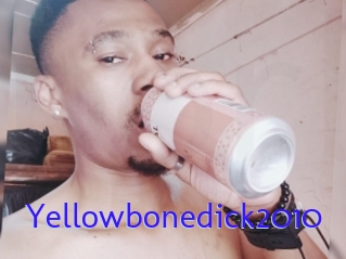 Yellowbonedick2010