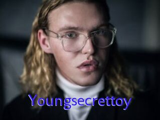 Youngsecrettoy