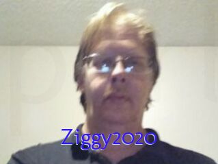 Ziggy2020